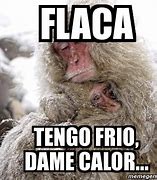 Image result for Tengo Frío Meme