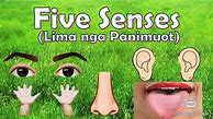 Image result for 5 Senses Tagalog Worksheet