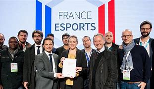 Image result for France eSports
