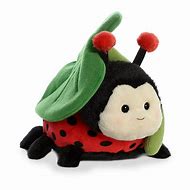 Image result for Ladybug Plush Toy
