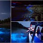 Image result for Blue Tears Kuala Selangor