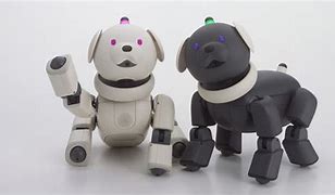 Image result for Aibo Robot Entertainment