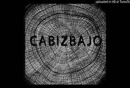 Image result for cabizbajo