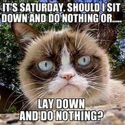 Image result for Saturday Work Meme Funny