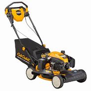 Image result for Cub Cadet Push Lawn Mowers