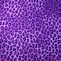 Image result for Purple Loepard Print