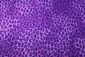 Image result for Purple Leopard Print Wallpaper