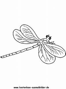 bilder zum ausmalen insekten ausmalbild libelle zum ausdrucken bilder zum ausmalen insekten ausmalbild libelle zum ausdrucken