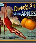 Image result for Candy Apple Court. Sign