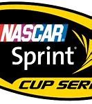 Image result for Burger King NASCAR Sprint Cup Series