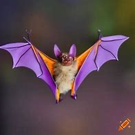 Image result for Cute Bat Friend