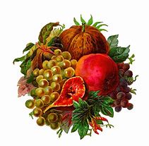 Image result for Vintage Fruit Clip Art