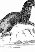 Image result for Black and White River Otter Clip Art