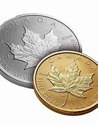 Image result for Current Canadian Coins
