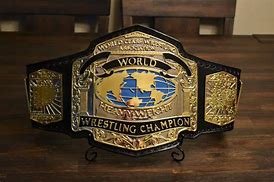 Image result for Wrestling Belt Collector