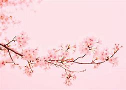 Image result for Light Pink Wallpaper MacBook