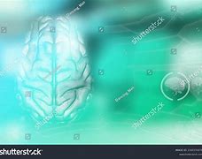 Image result for Human Brain Psychology