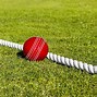 Image result for Cricket Boundary Line Flag