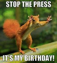 Image result for Squirrel Birthday Meme