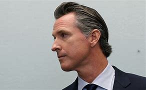 Image result for Young Gavin Newsom Hair