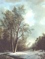 Image result for Winter Scenes with Birds