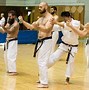 Image result for Okinawan Karate Center