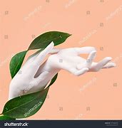 Image result for Mannequin Body Parts