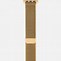 Image result for Apple Watch Strap Gold