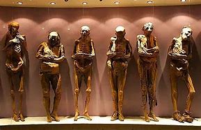 Image result for Mummies of Guanajuato Book