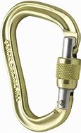 Image result for Black Diamond Carabiner 0105 Rope Lock