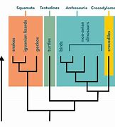 Image result for Clay Allison Family Tree