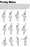 Image result for Schematic of Dance Steps