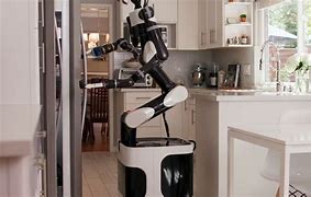 Image result for Domestic Service Robots