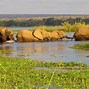 Image result for Maun Safari Botswana