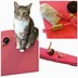 Image result for Cat Mat Toy