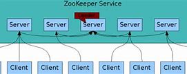 Image result for Zookeeper Feeding Animals