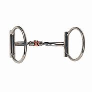 Image result for Snaffle Bit