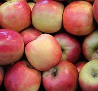 Image result for Show Me a Pink Apple Fruit