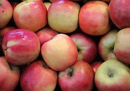 Image result for Apple Pink Fruit Round Sphere and Leaf
