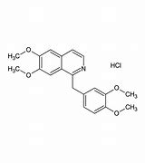 Image result for Papaverine Hydrochloride