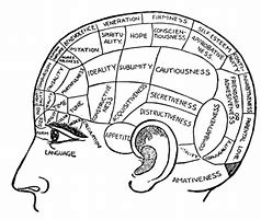 Image result for Human Mind Psychology