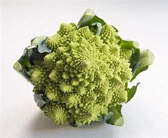 Image result for Rare Vegetables