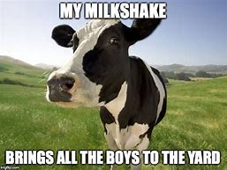 Image result for Cow Farm Meme