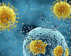 Image result for Virus Attack Cell