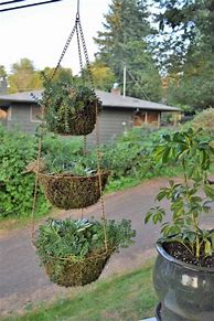 Image result for Tiered Hanging Planters