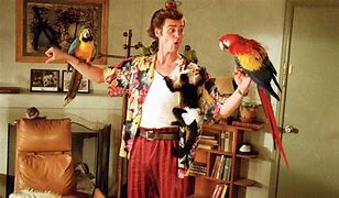 Image result for Ace Ventura Pet Detective