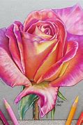 Image result for Prisma Colored Pencil Drawings