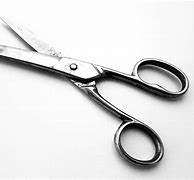 Image result for Heavy Duty Construction Scissors