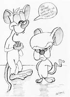 Image result for Pinky and the Brain Idiot