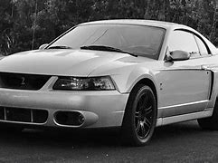 Image result for 2003 Mustang Cobra